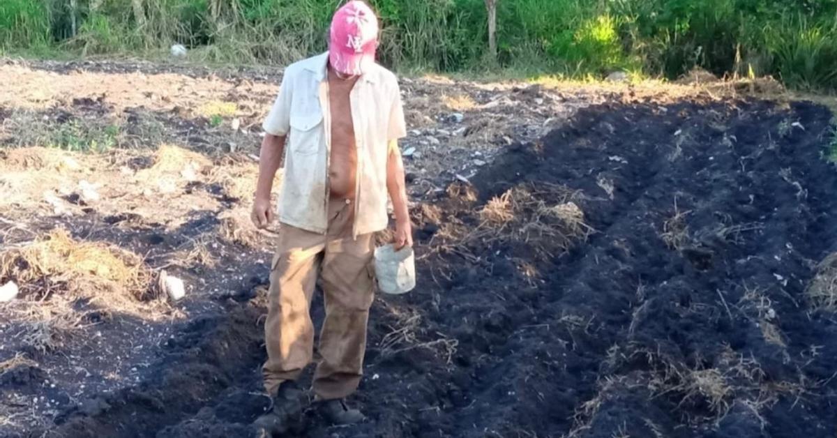 Una nueva ley blinda la propiedad socialista de la tierra, aunque abre la puerta a los extranjeros como usufructuarios