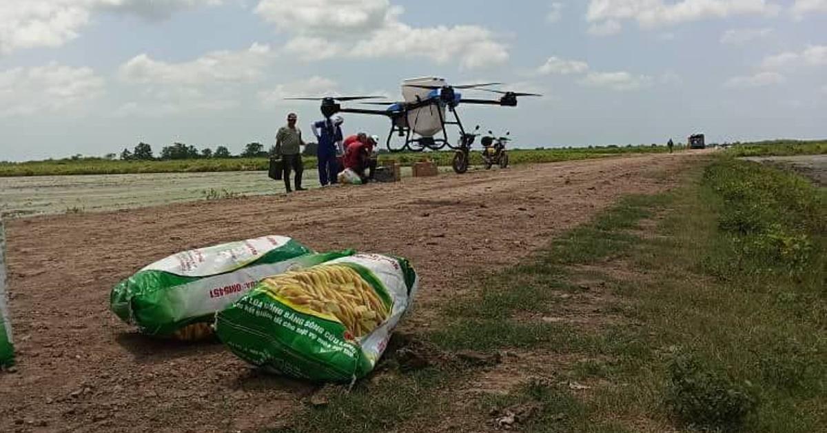 Alimentación: Emplean drones en Granma para sembrar arroz, pero la cosecha es mínima