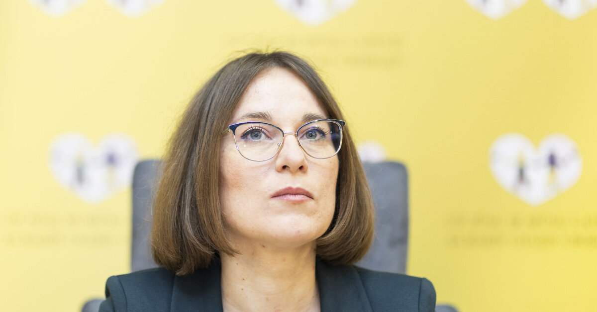 Seimo pirmininkas siūlo leisti Birutei Sabatauskaitei tęsti lygių galimybių kontrolierės darbą