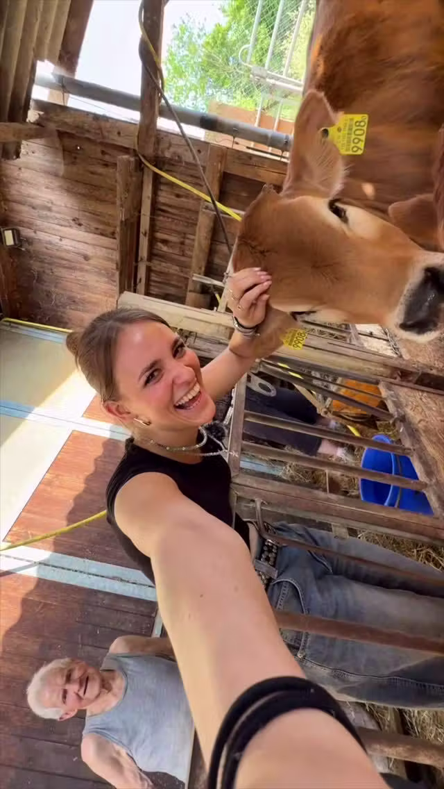 Nathistyle rettet Chälbli Bovine: Influencerin bewahrt Kalb vor dem Schlachthof