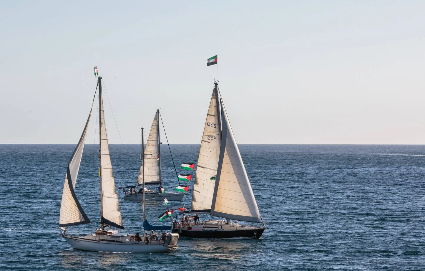Les deux militants de la « flottille pour Gaza » arrêtés libérés par Israël