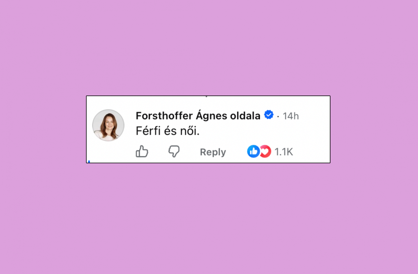 Forsthoffer Ágnes kommentben tette helyre Magyar Pétert
