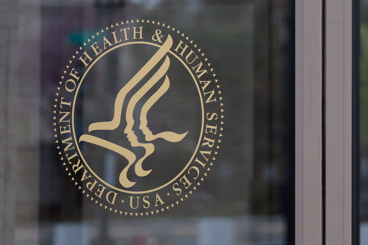 Immigrant toddler was sexually abused in custody while her father sought her release, lawyer says