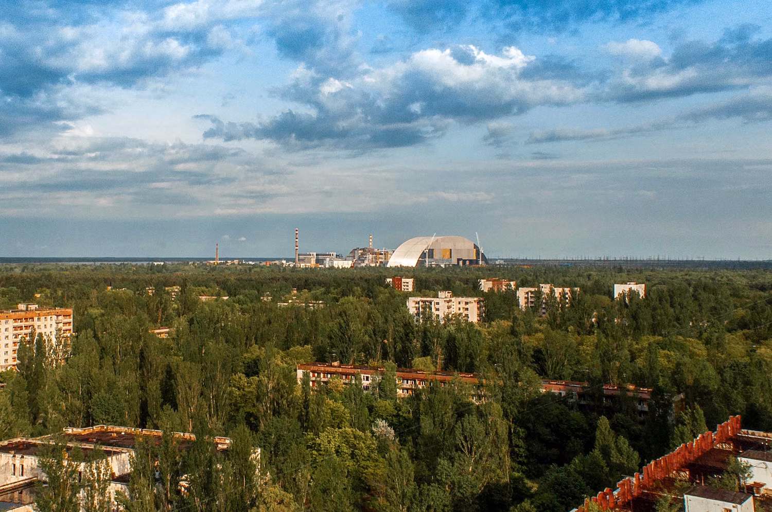 Large mammals thriving in Chernobyl exclusion zone, scientists report