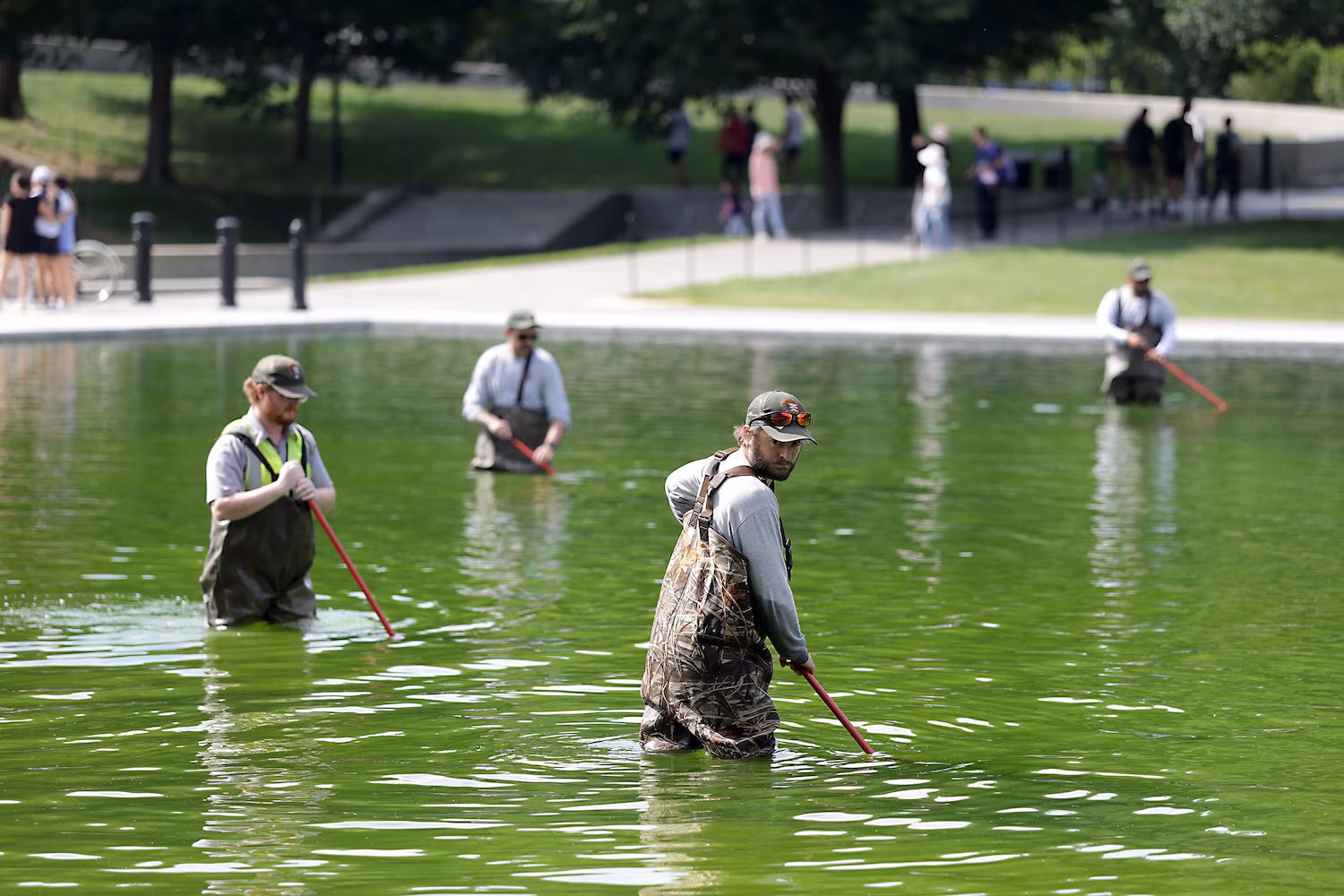 National Park Service Battles Algae in Renovated Reflecting Pool