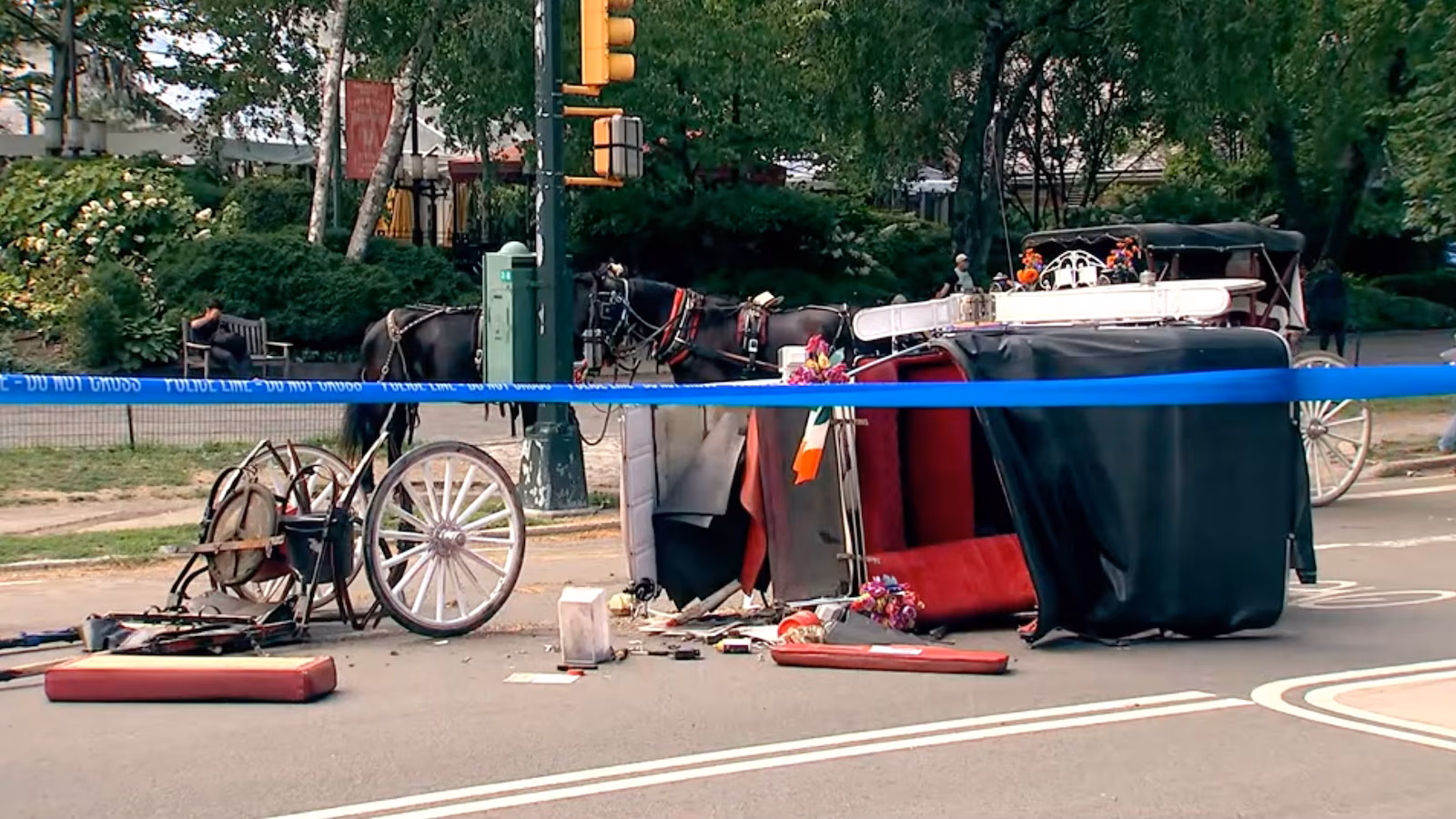 Central Park horse carriage rides temporarily suspended following death of 18-year-old tourist