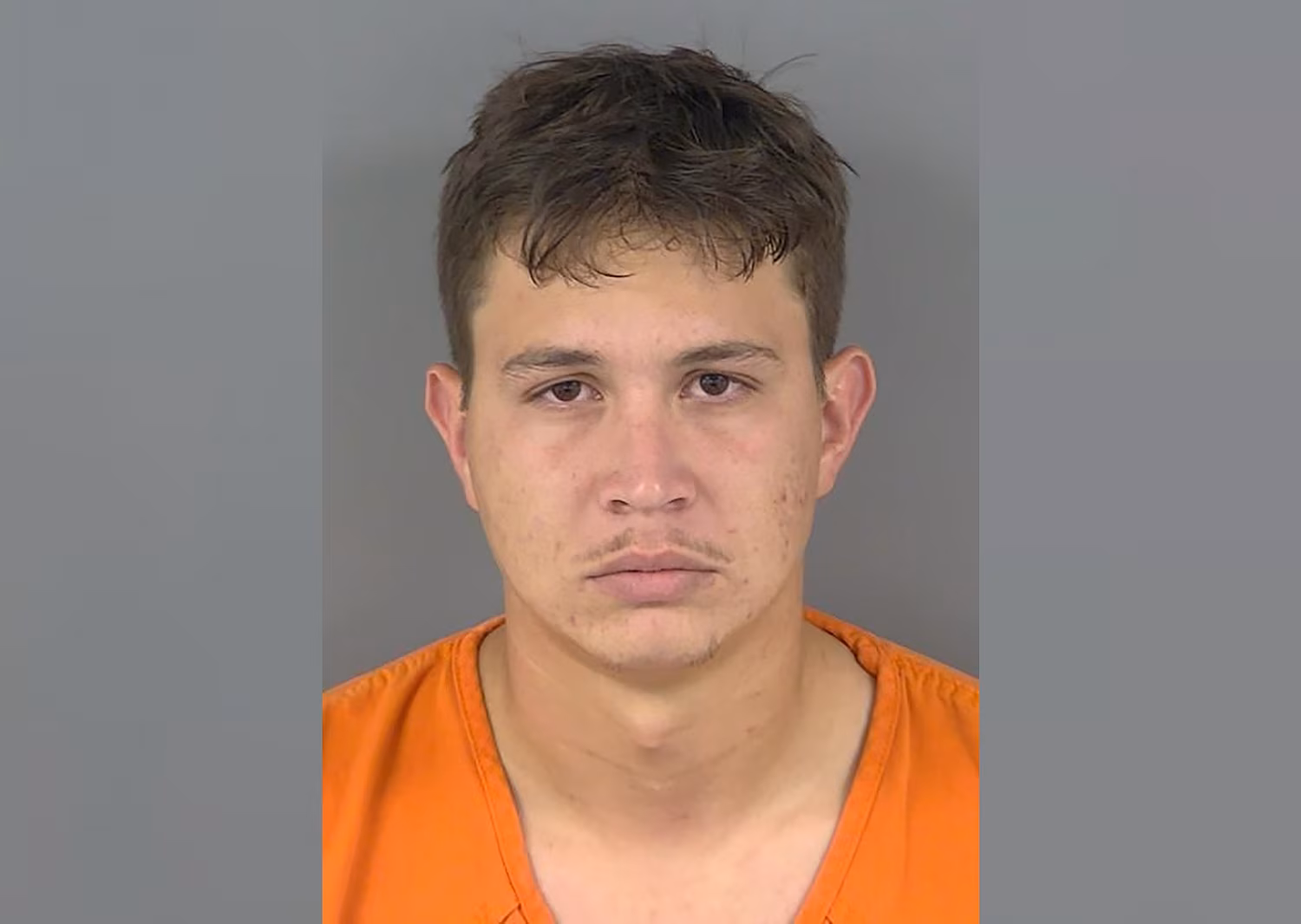 Man charged with manslaughter after fatally shooting neighbor he mistook for bear