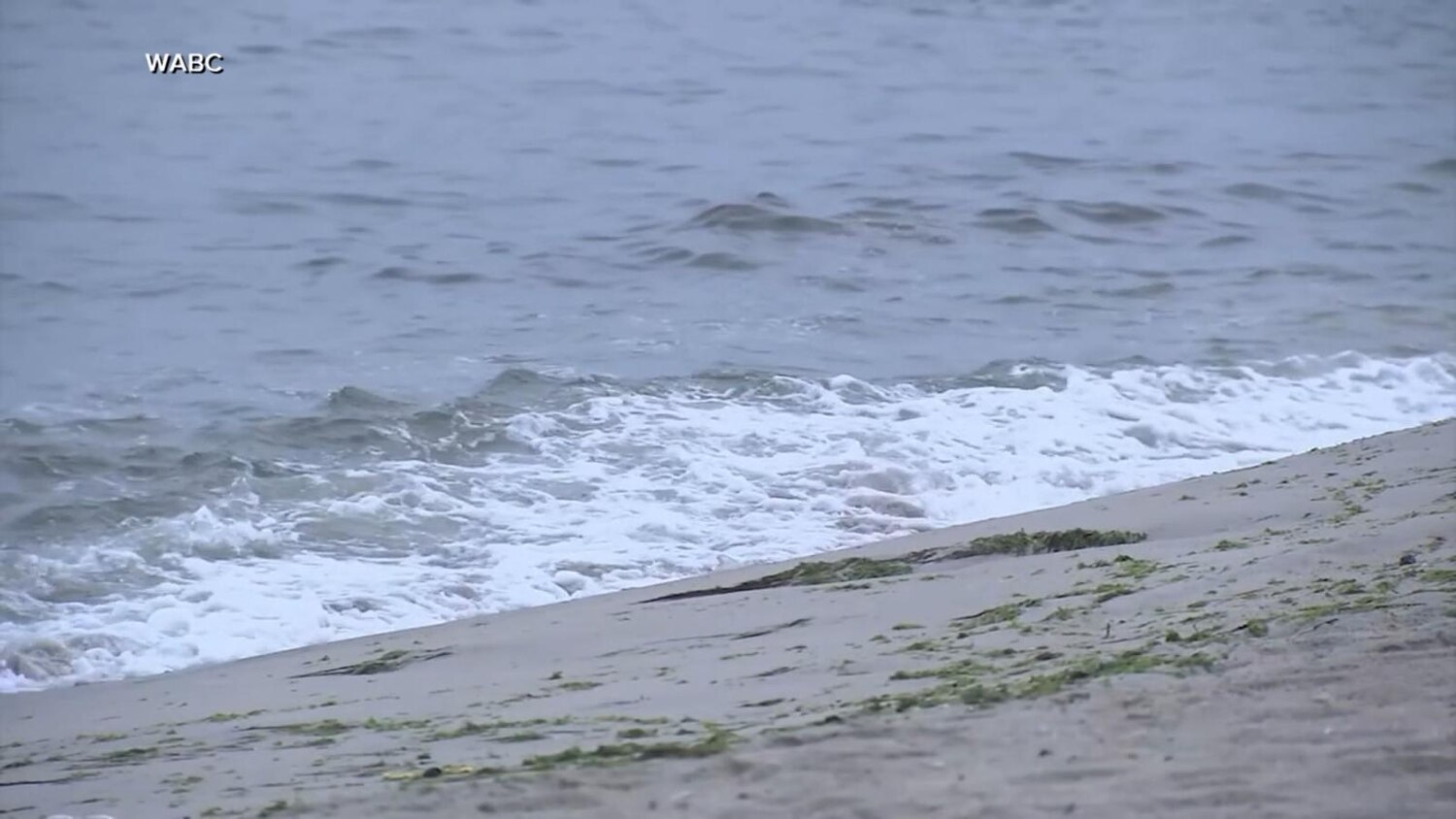Teen drowns at New York City beach after urging lifeguards to save friend first