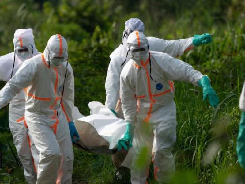 Épidémie d'Ebola en RDC : 550 cas confirmés dont 101 décès, l'Ituri demeure l'épicentre
