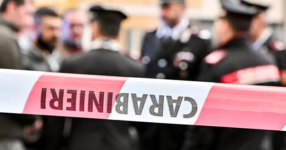 Diciassettenne uccide la zia a coltellate e la getta nel fiume