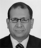 Ahmed El-Sherbiny's Articles