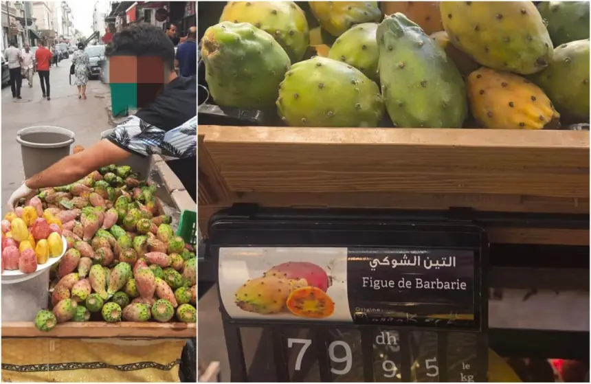 "التين الشوكي" من فاكهة الفقراء إلى رفوف المتاجر الكبرى بأسعار خيالية