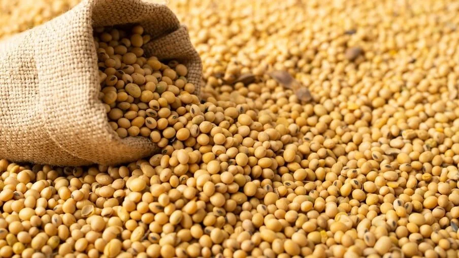 Algérie-Etats-Unis : coopération autour de la transformation des oléagineux et la production d’aliments pour animaux