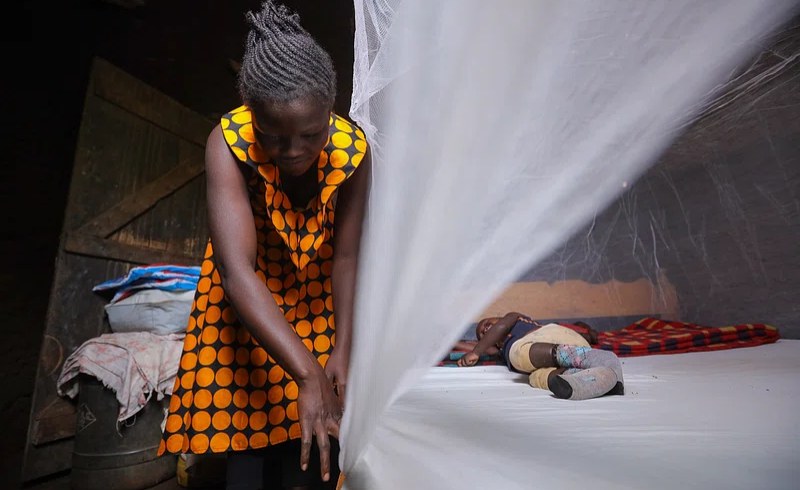 'We Are at a Critical Point in the Fight Against Malaria' #WorldMalariaDay