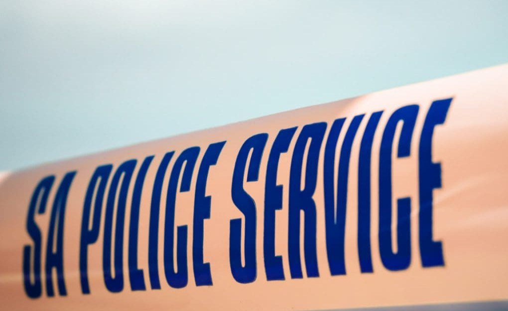 What Should South Africa's Interim Police Chief Prioritise?