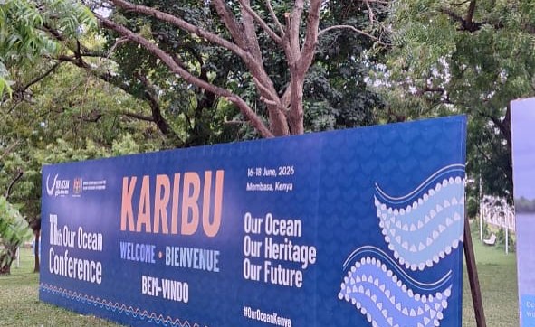 Africa Takes the Helm in Global Ocean Negotiations