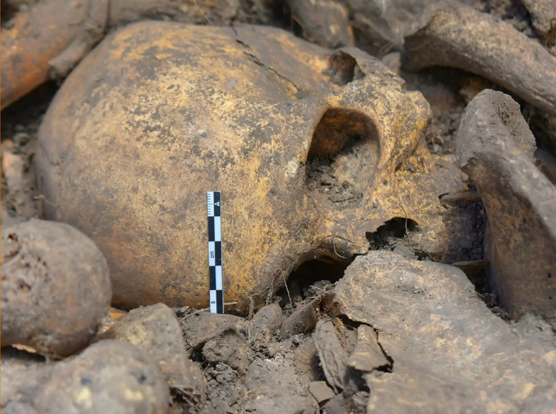 Hallazgo de restos óseos en Kuélap revela complejas prácticas funerarias de los Chachapoya