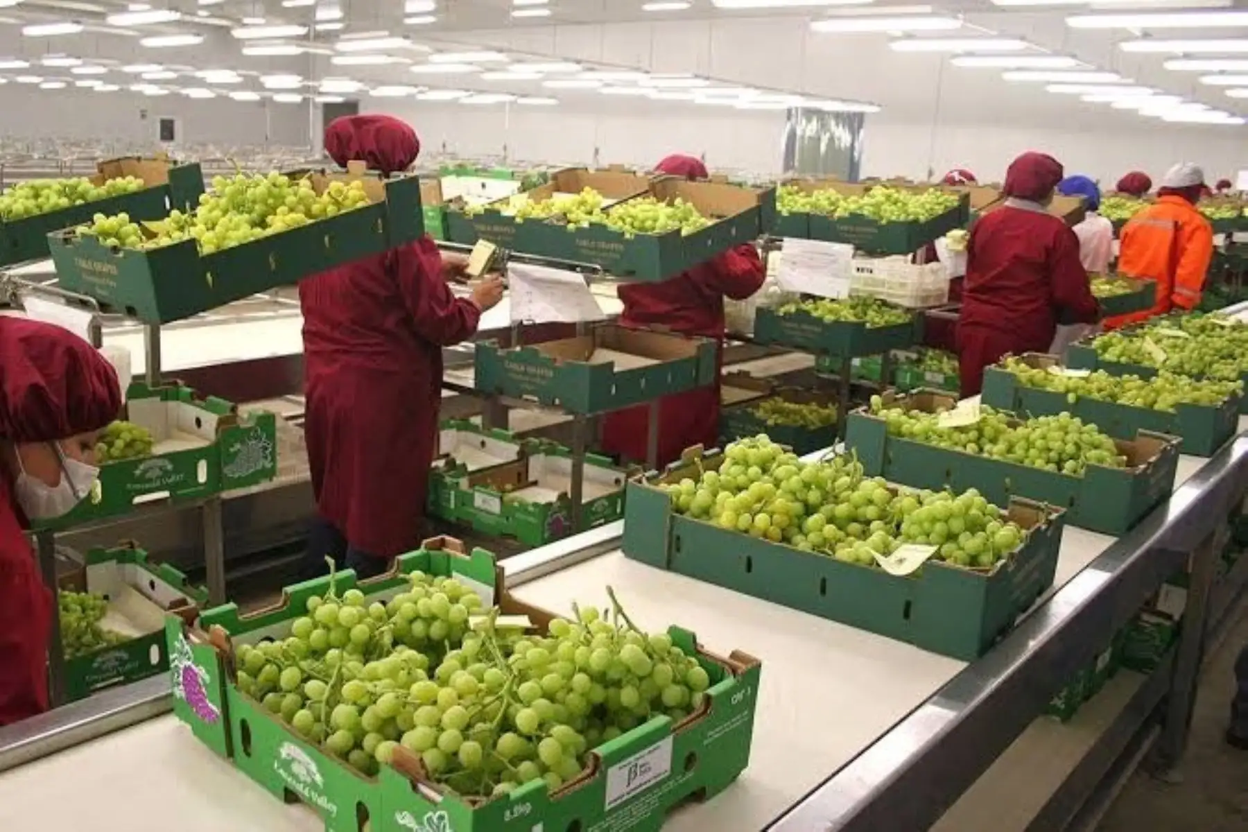 Agroexportaciones peruanas acumularon 13 años consecutivos de crecimiento