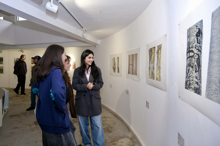 Մեր արվեստագետները բովանդակային խնդիր չունեն, խնդիրը միայն նյութական, տեխնիկական բազան է . Սոնա Հարությունյան