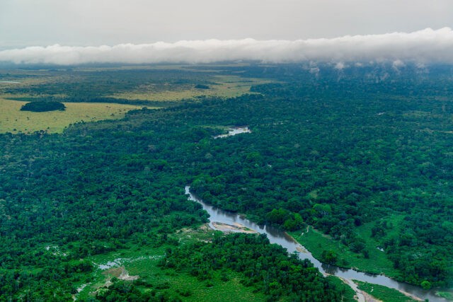 COVID-19 cleared the skies but also supercharged methane emissions