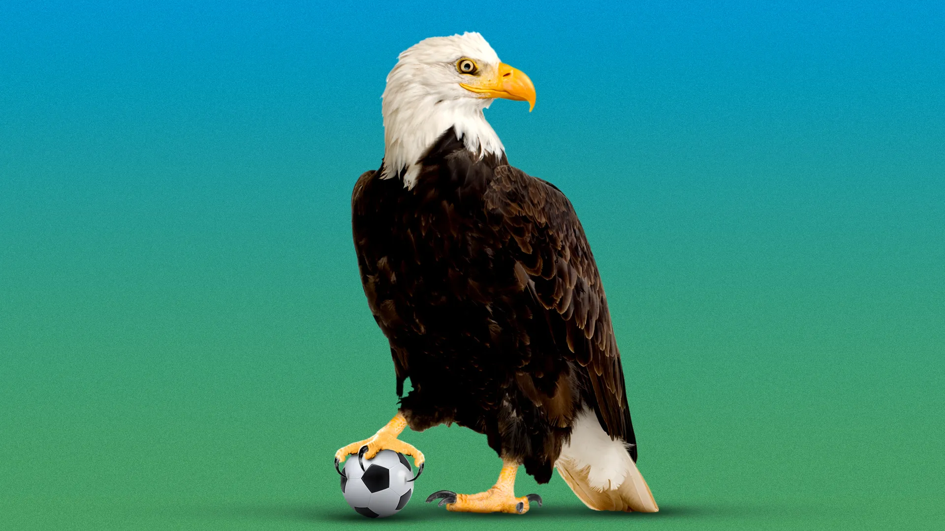 World Cup tourists discover America — and delight us all
