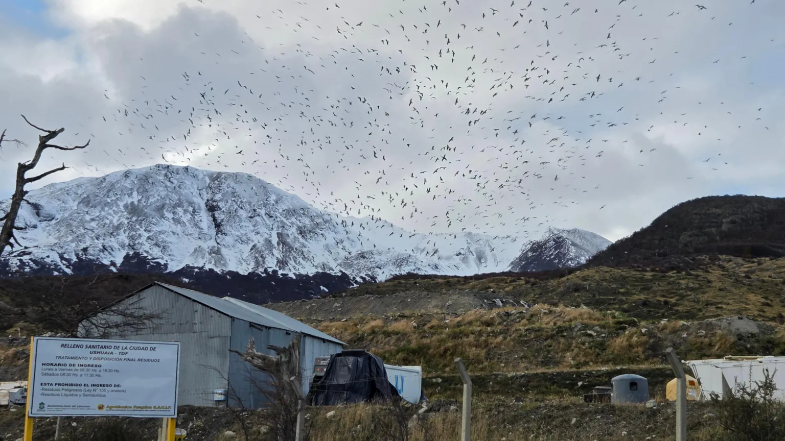 Tourist hotspot at 'end of the world' denies causing hantavirus outbreak