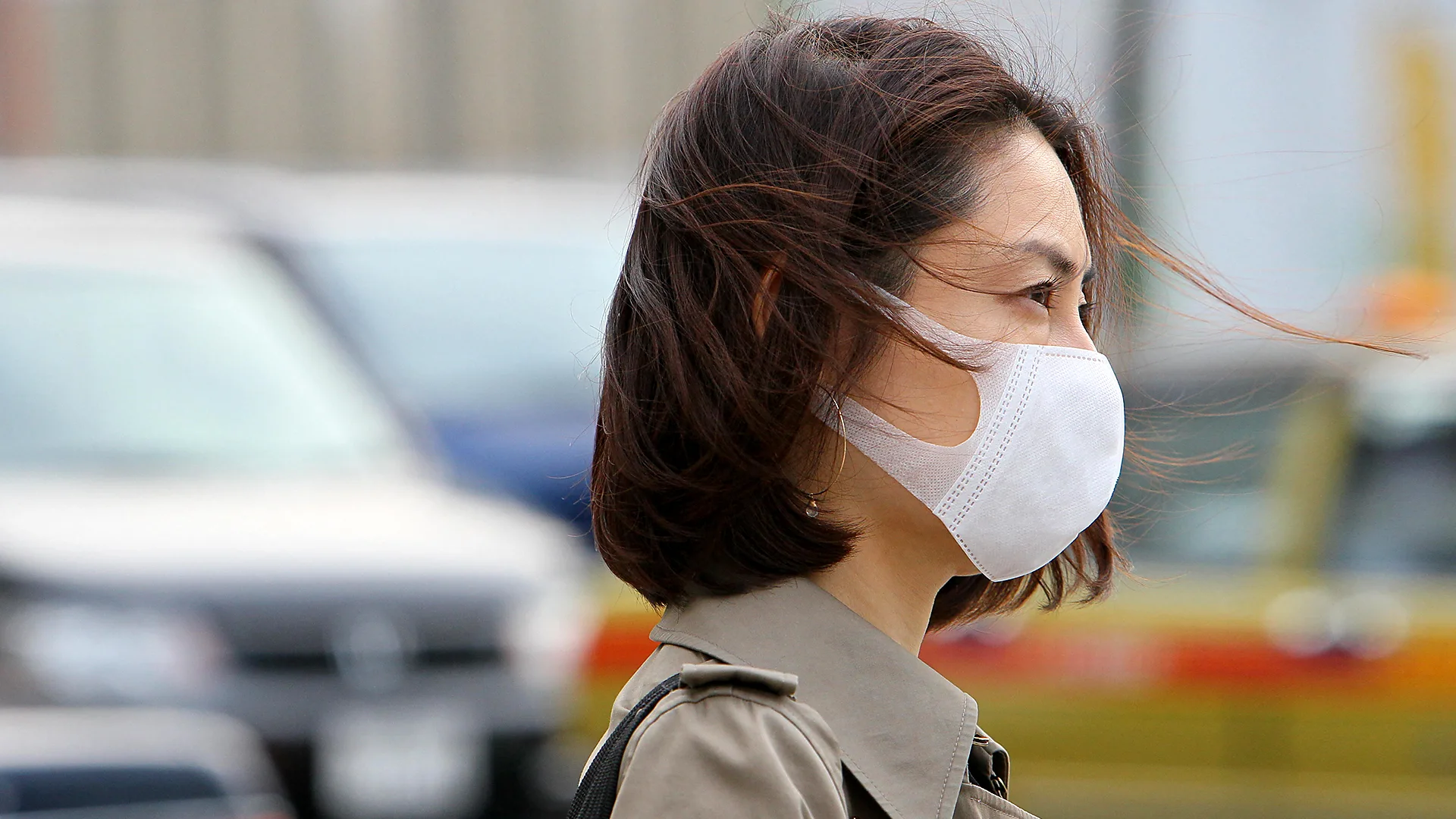 The 1950s blunder causing mass allergies in Japan