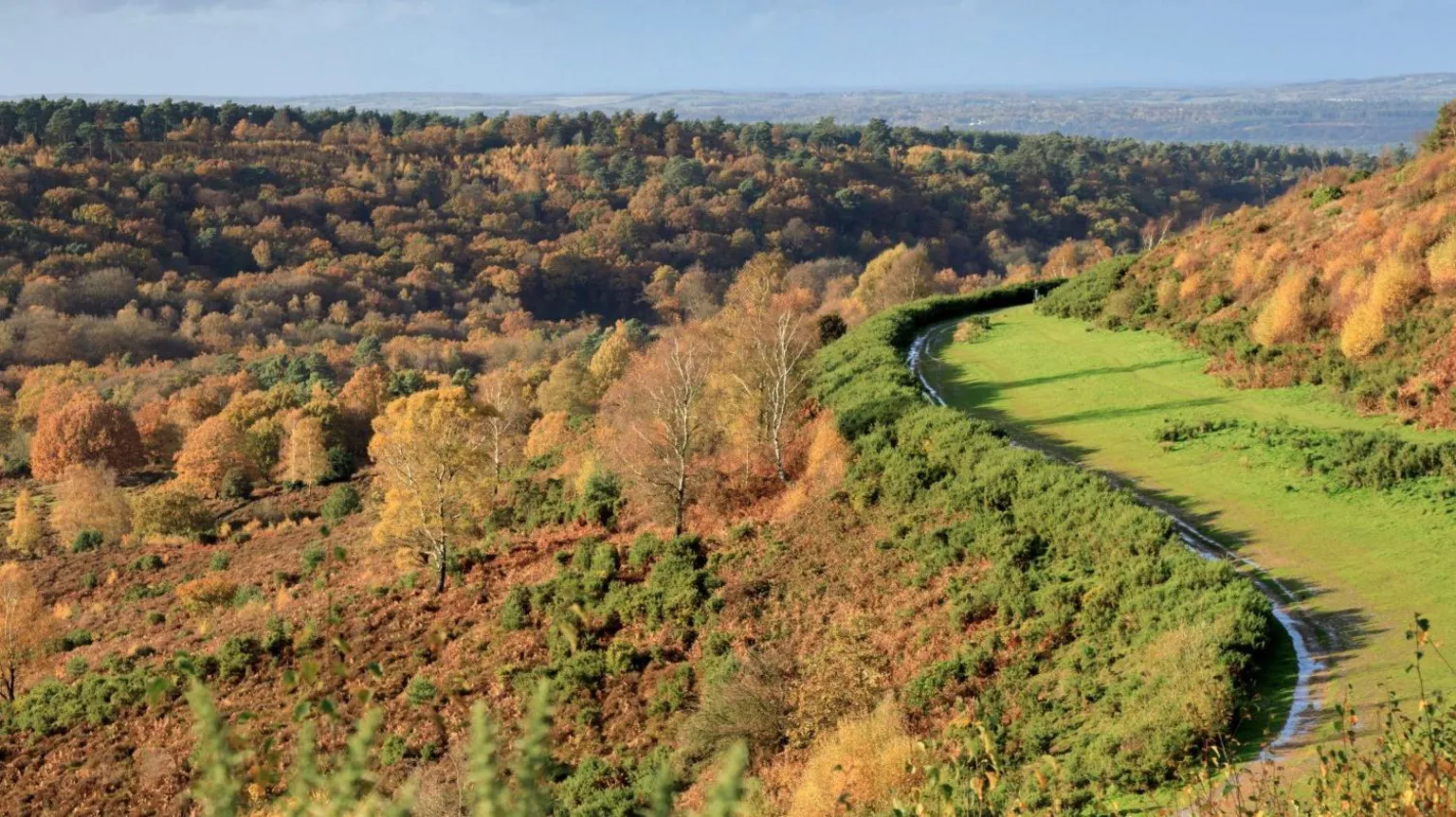 How a lost road helped rewild a rare landscape
