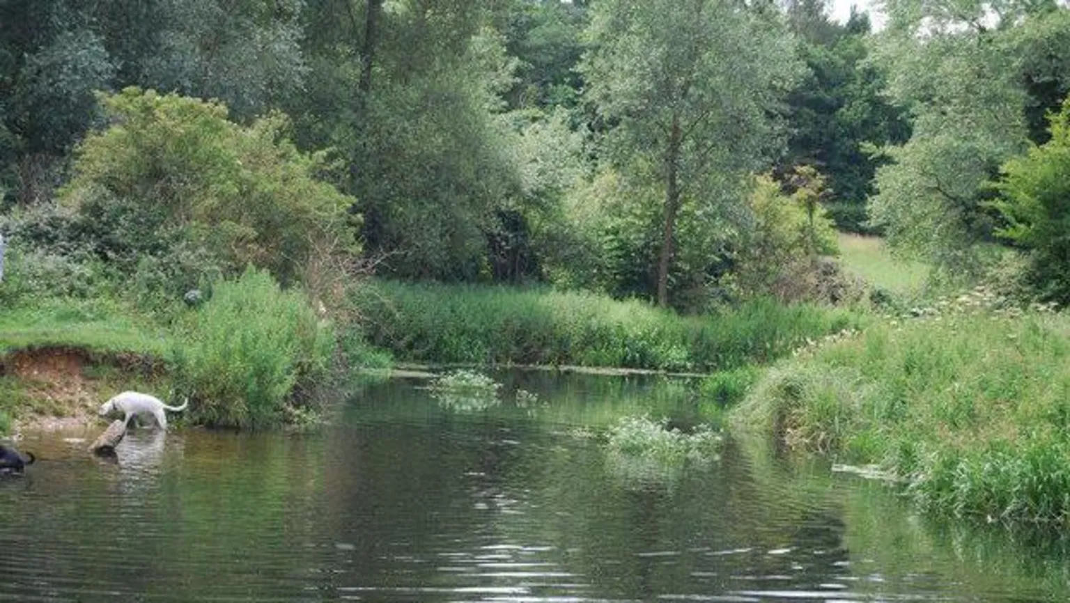 Fears for rivers as flows 'exceptionally low'
