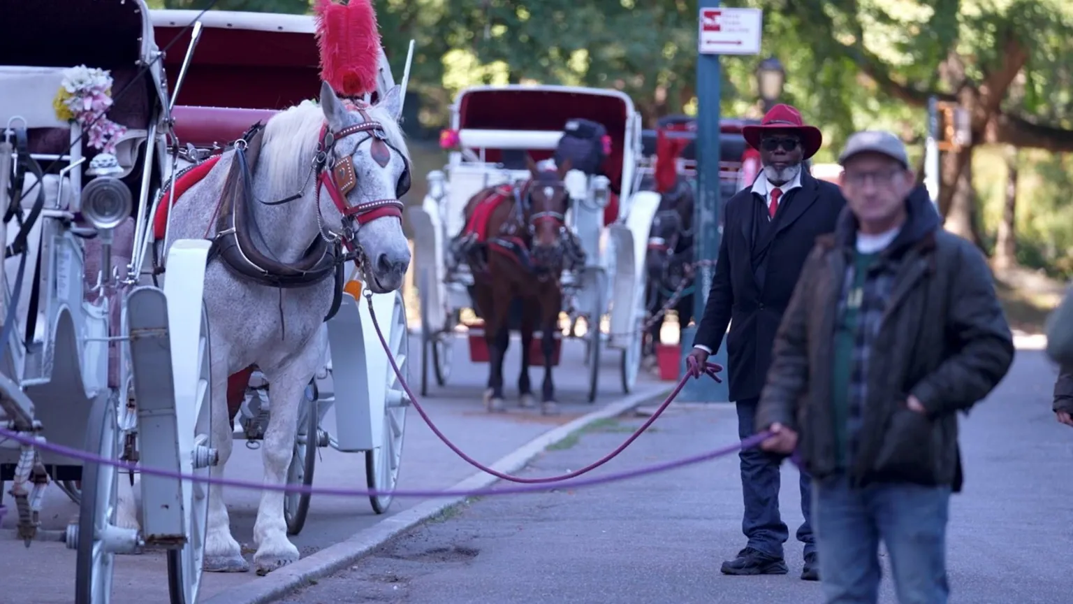 Some New Yorkers back ban on horse-drawn carriages, but drivers fear for incomes