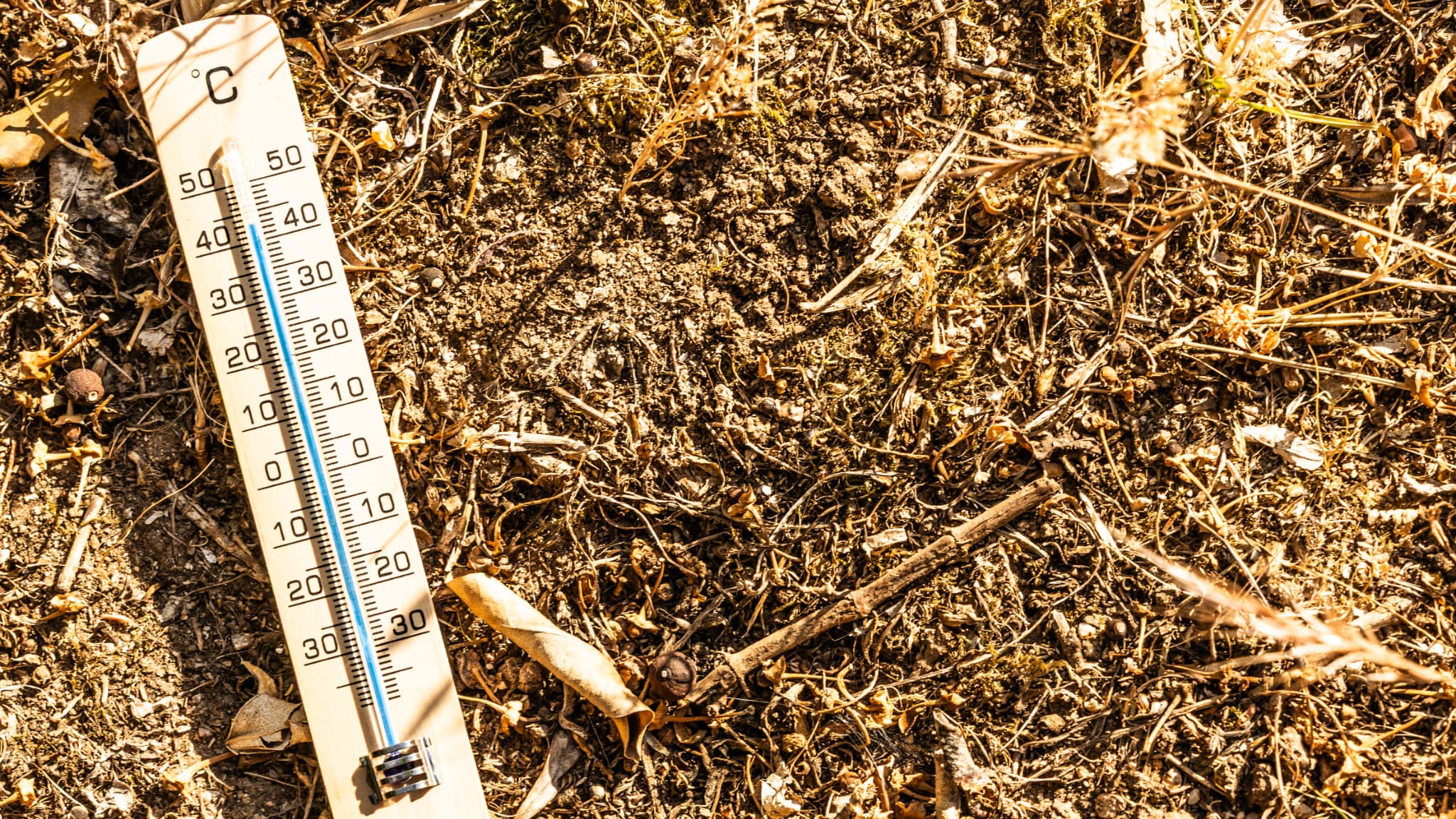 DIRECT. Canicule: 14 nouveaux départements placés en vigilance rouge à partir de demain, 72 concernés au total