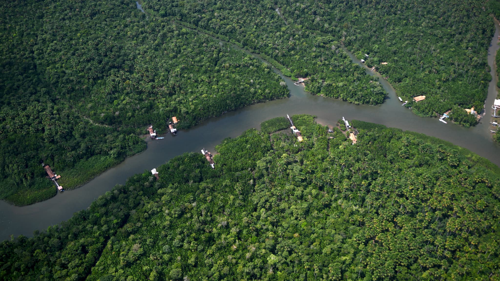La déforestation dans l'Amazonie brésilienne atteint son plus bas niveau sur un an