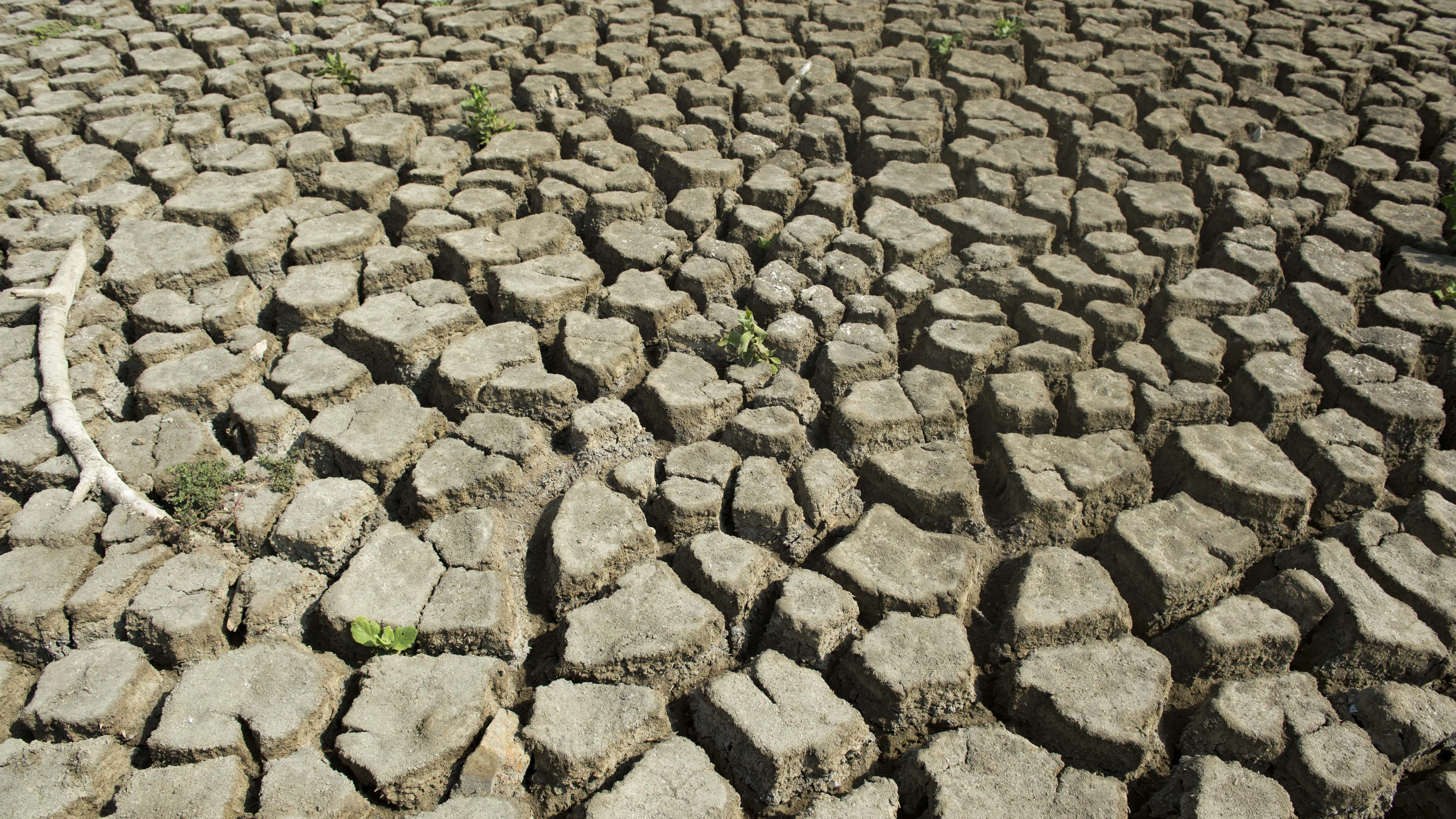 El Niño: l'Équateur en alerte rouge face au phénomène climatique en cours qui pourrait être le plus intense jamais enregistré