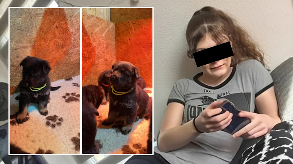 Jette (3) erhängt: Hunde-Killerin wollte sich noch einen Welpen kaufen