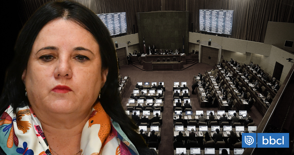 ¿Hay margen político para una AC? La tentación que abre el caso Steinert tras dictamen de Contraloría