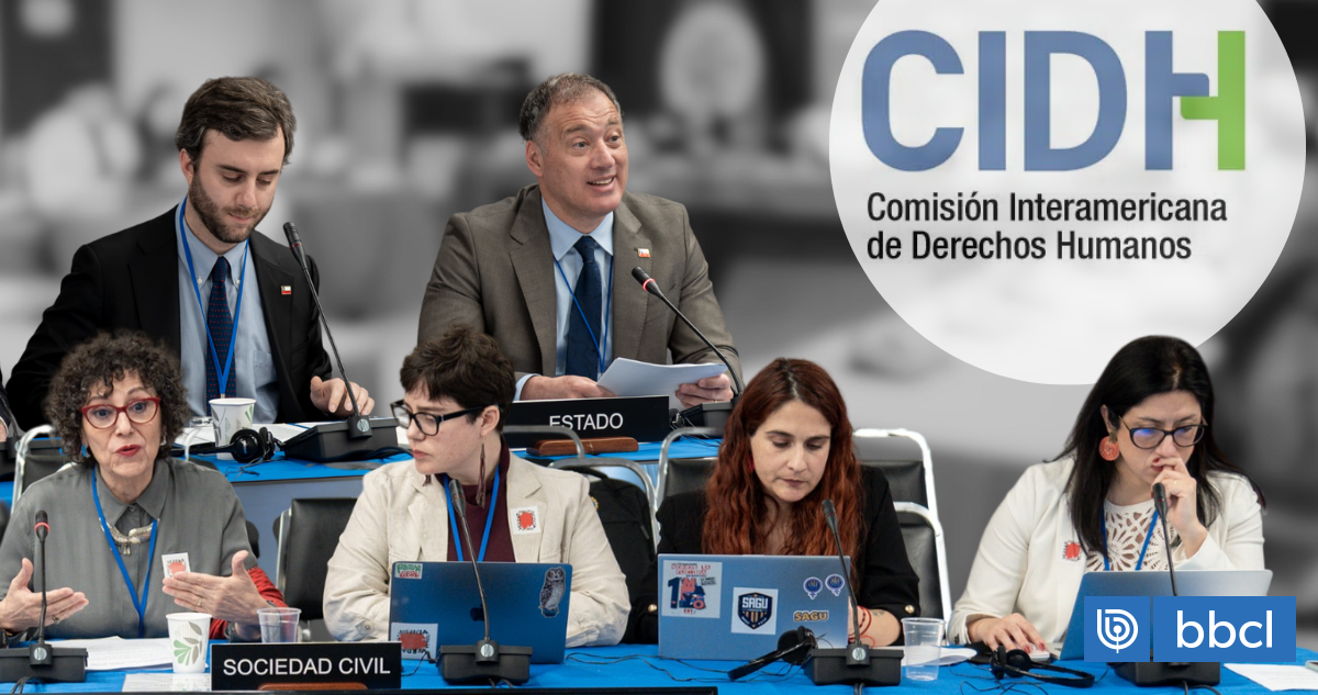 La batalla por la institucionalidad de DDHH: el choque entre organizaciones y el Gobierno ante la CIDH