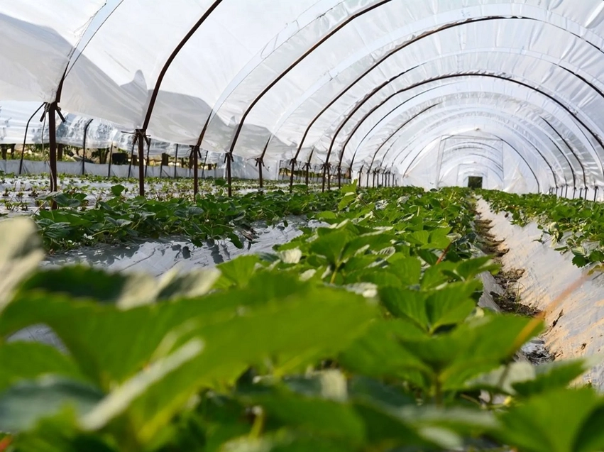 Weather this weekend: Stable and favorable for agriculture