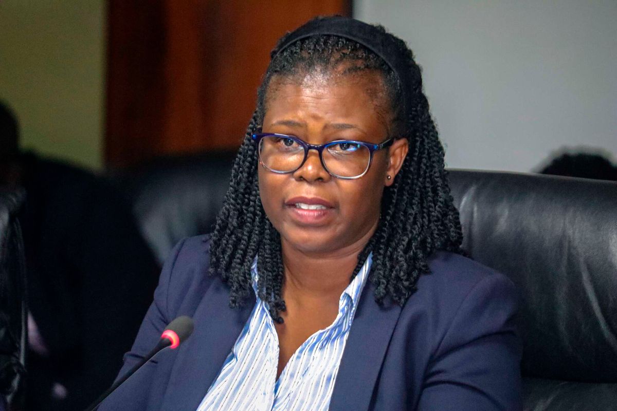 PRIME KRA opens till and paybills tax crackdown