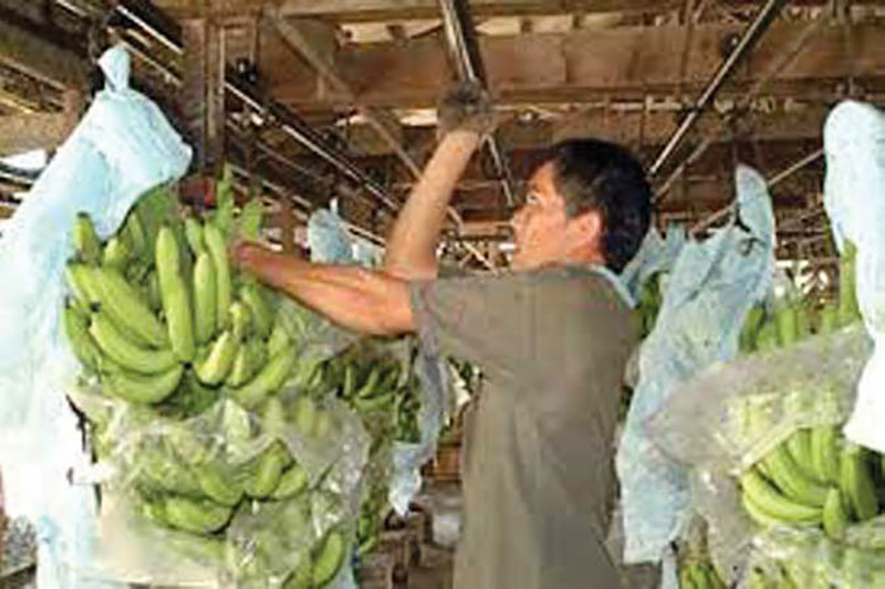 Agri trade deficit widens nearly 22% in March as imports surge