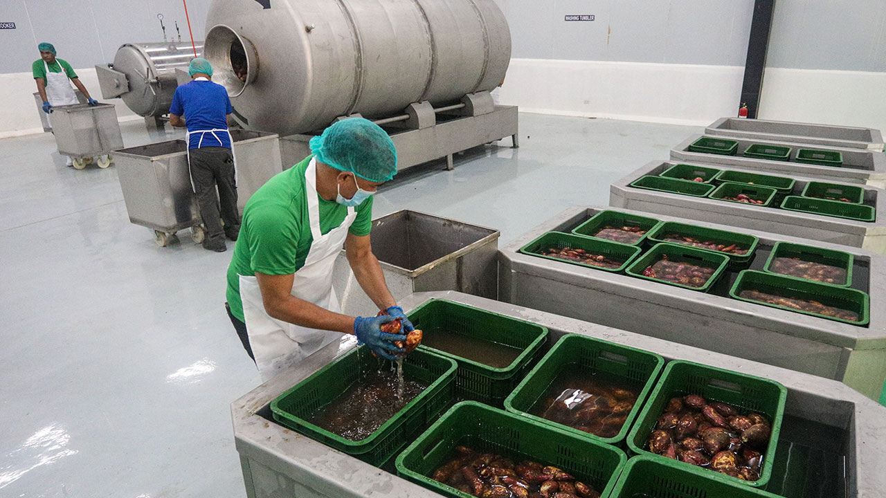 Philippines’ August PMI grows at fastest pace in nearly 10 years