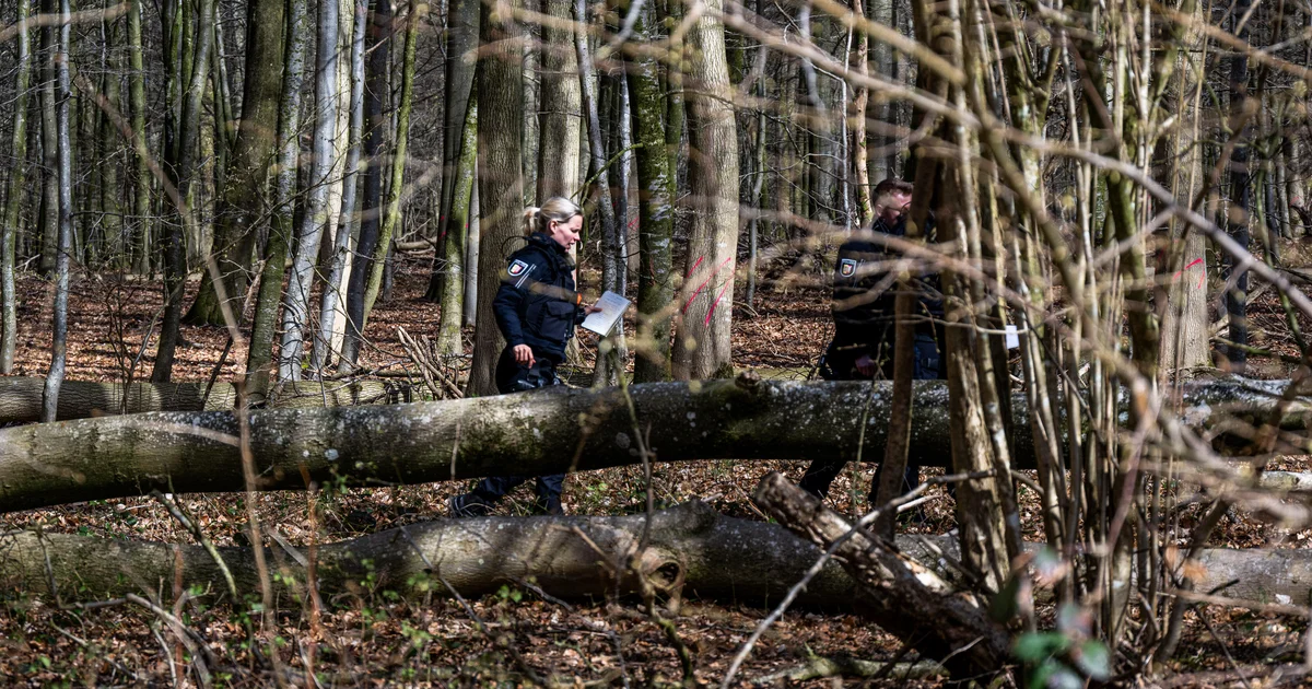 Falling tree kills 3, including 10-month-old, on Easter egg hunt in Germany