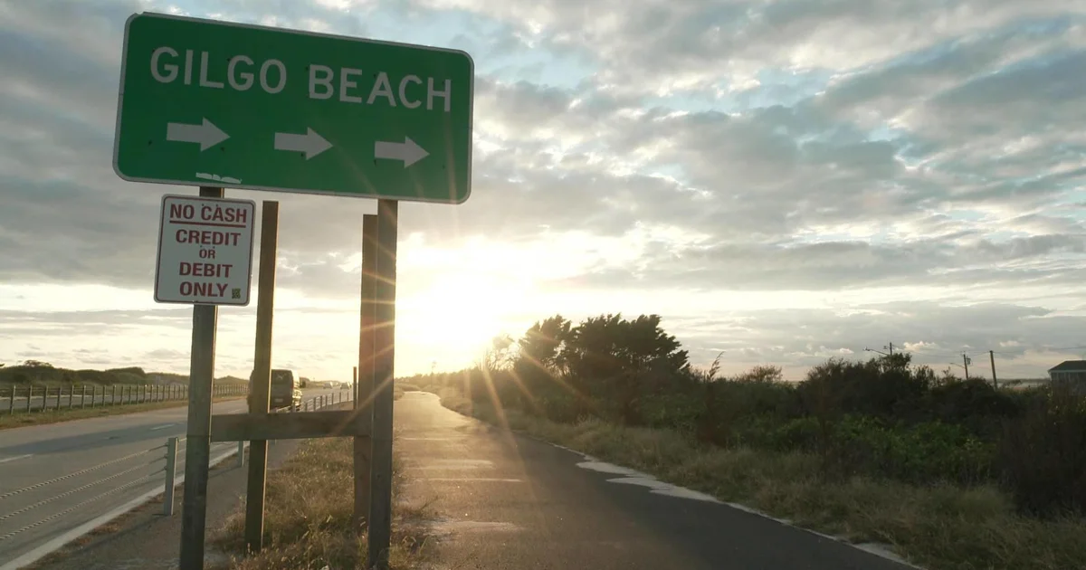 Long Island serial killings investigation: A timeline of events