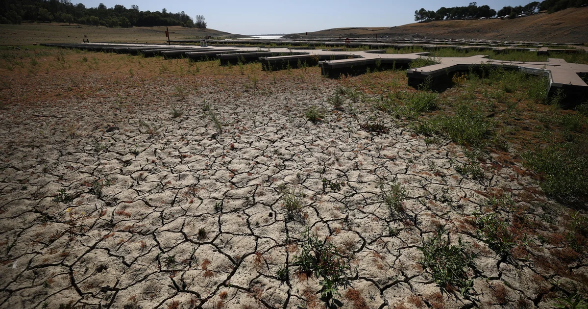 Record U.S. drought sparks fears about wildfires, water and food prices