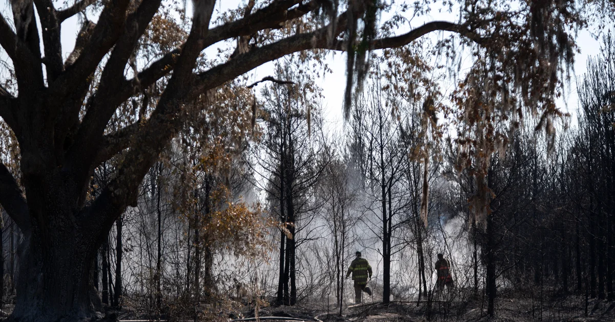 2 Georgia wildfires destroy more than 100 homes, scorch over 40,000 acres