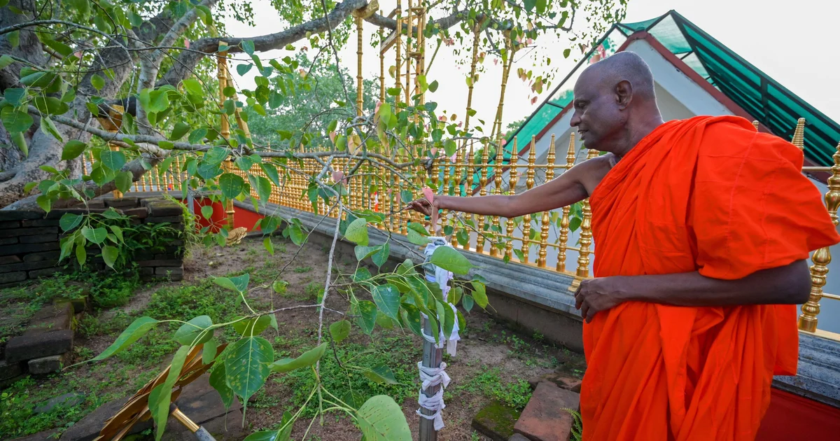 Prominent Buddhist monk arrested over alleged sex abuse