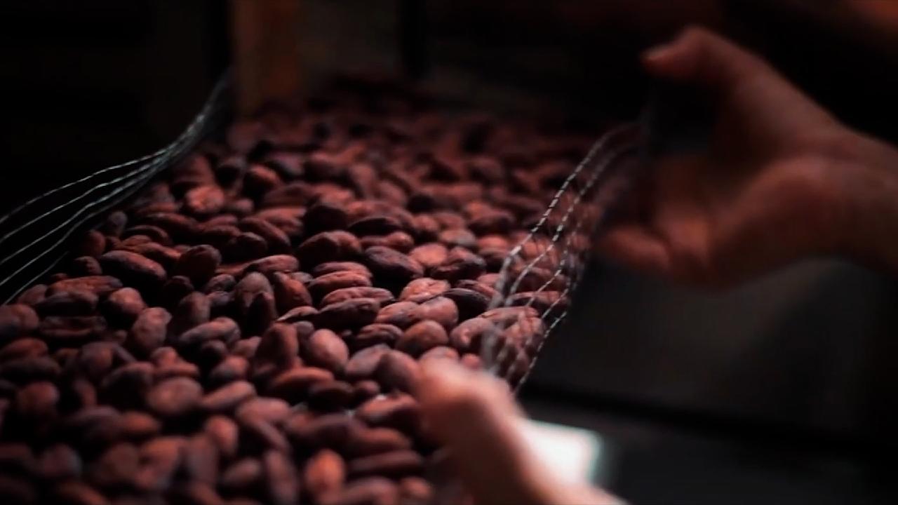 Chinese marketplace embraces Peruvian cocoa