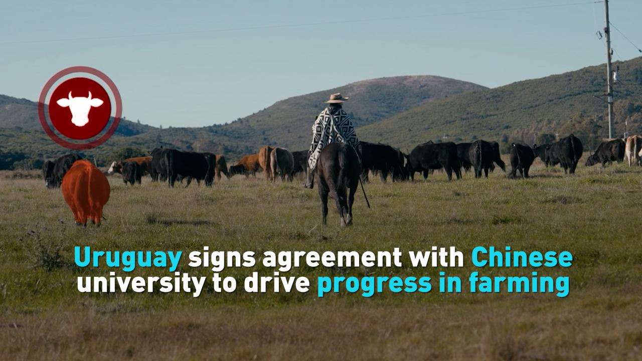 Uruguay signs agreement with Chinese university to drive farming progress