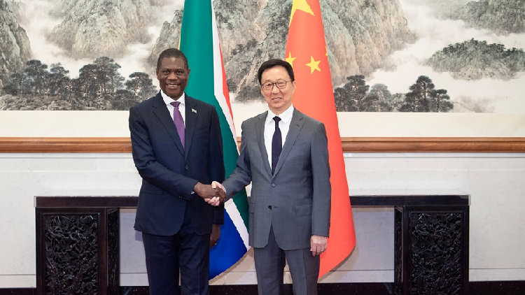Chinese vice president meets South African counterpart
