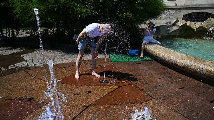 WHO says over 1,300 excess deaths linked to Europe heatwave