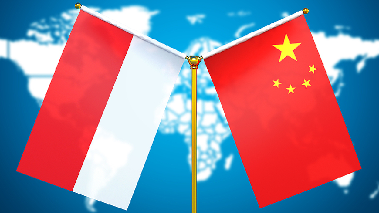 China, Indonesia to conduct naval navigation exercise in waters east of Taiwan Island